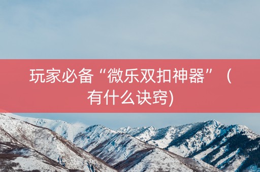 玩家必备“微乐双扣神器”（有什么诀窍)