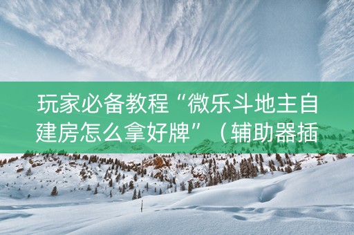 玩家必备教程“微乐斗地主自建房怎么拿好牌”（辅助器插件)