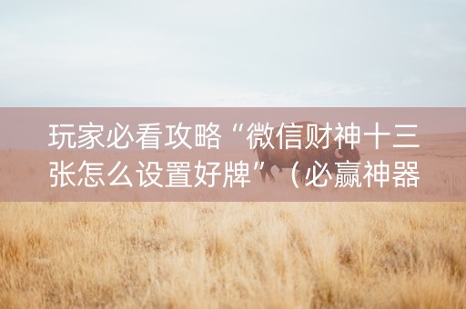 玩家必看攻略“微信财神十三张怎么设置好牌”（必赢神器)