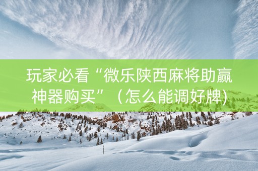 玩家必看“微乐陕西麻将助赢神器购买”（怎么能调好牌)