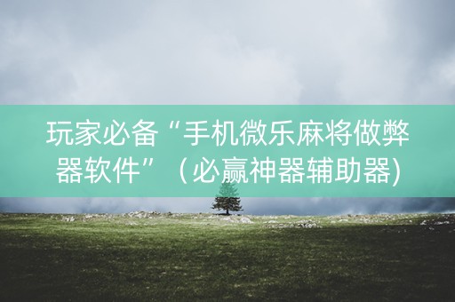 玩家必备“手机微乐麻将做弊器软件”（必赢神器辅助器)
