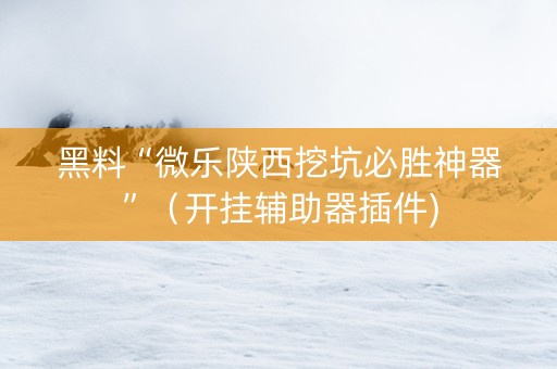 黑料“微乐陕西挖坑必胜神器”（开挂辅助器插件)