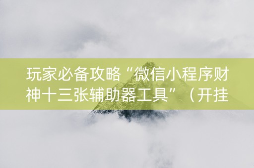 玩家必备攻略“微信小程序财神十三张辅助器工具”（开挂辅助插件)