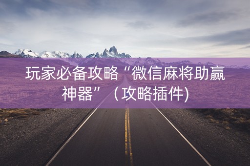 玩家必备攻略“微信麻将助赢神器”（攻略插件)