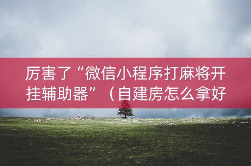 厉害了“微信小程序打麻将开挂辅助器”（自建房怎么拿好牌)