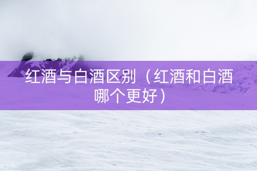 红酒与白酒区别（红酒和白酒哪个更好）