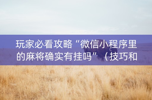 玩家必看攻略“微信小程序里的麻将确实有挂吗”（技巧和打好牌方法)