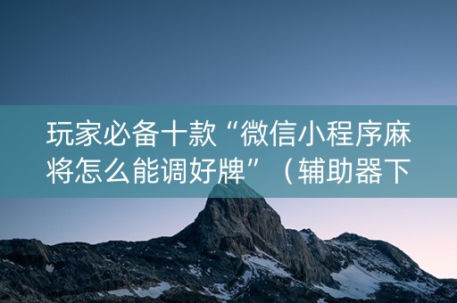 玩家必备十款“微信小程序麻将怎么能调好牌”（辅助器下载)
