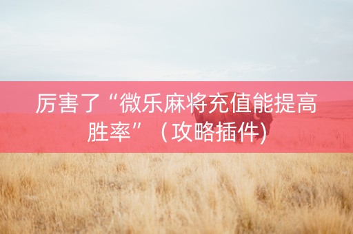 厉害了“微乐麻将充值能提高胜率”（攻略插件)