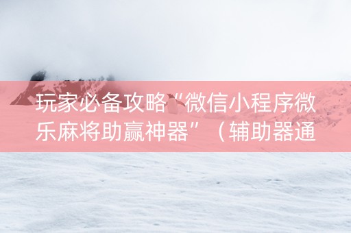 玩家必备攻略“微信小程序微乐麻将助赢神器”（辅助器通用版)