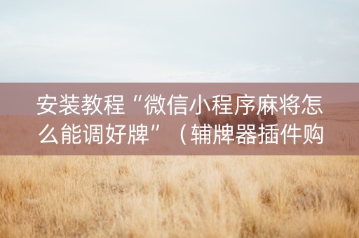 安装教程“微信小程序麻将怎么能调好牌”（辅牌器插件购买)