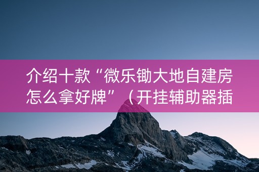 介绍十款“微乐锄大地自建房怎么拿好牌”（开挂辅助器插件)