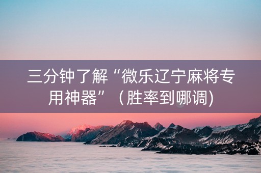 三分钟了解“微乐辽宁麻将专用神器”（胜率到哪调)