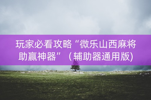 玩家必看攻略“微乐山西麻将助赢神器”（辅助器通用版)