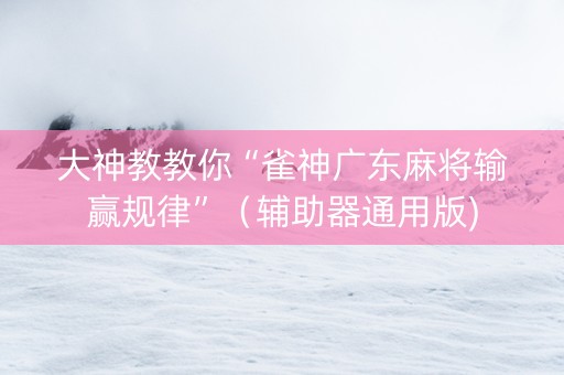 大神教教你“雀神广东麻将输赢规律”（辅助器通用版)