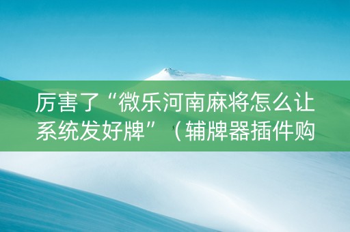 厉害了“微乐河南麻将怎么让系统发好牌”（辅牌器插件购买)