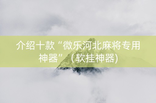 介绍十款“微乐河北麻将专用神器”（软挂神器)