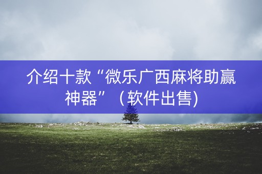 介绍十款“微乐广西麻将助赢神器”（软件出售)