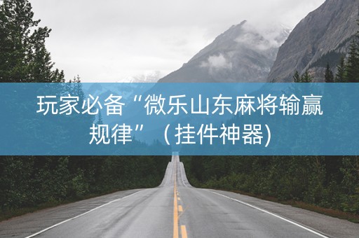 玩家必备“微乐山东麻将输赢规律”（挂件神器)
