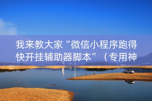 我来教大家“微信小程序跑得快开挂辅助器脚本”（专用神器)
