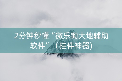 2分钟秒懂“微乐锄大地辅助软件”（挂件神器)
