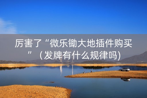 厉害了“微乐锄大地插件购买”（发牌有什么规律吗)