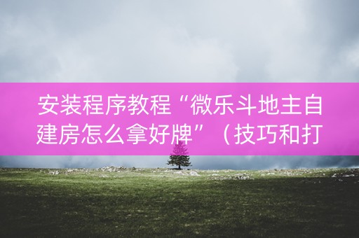 安装程序教程“微乐斗地主自建房怎么拿好牌”（技巧和打好牌方法)