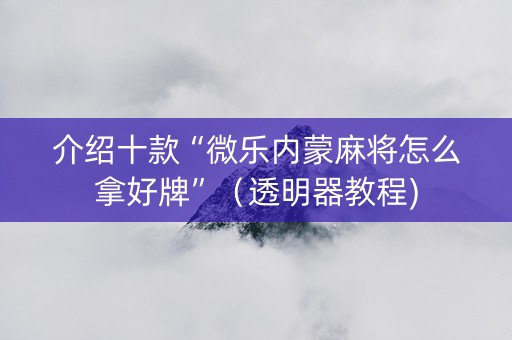 介绍十款“微乐内蒙麻将怎么拿好牌”（透明器教程)