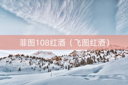 菲图108红酒（飞图红酒）