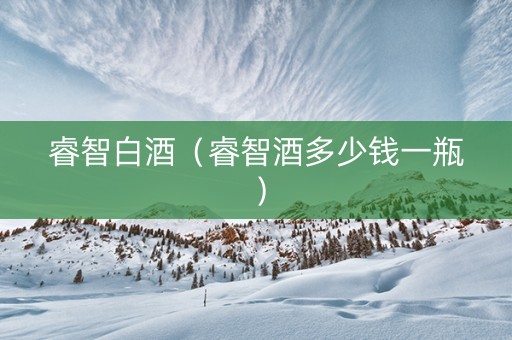 睿智白酒（睿智酒多少钱一瓶）