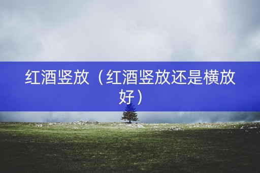 红酒竖放（红酒竖放还是横放好）