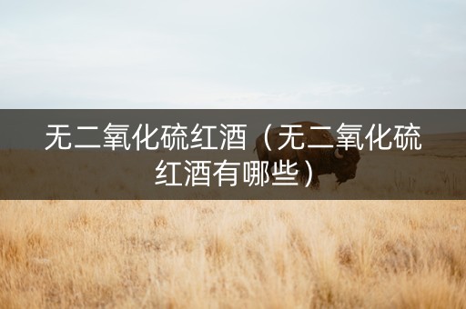 无二氧化硫红酒（无二氧化硫红酒有哪些）