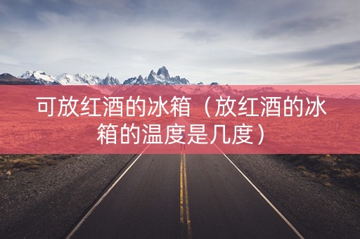 可放红酒的冰箱（放红酒的冰箱的温度是几度）