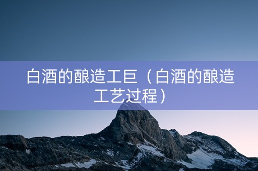 白酒的酿造工巨（白酒的酿造工艺过程）