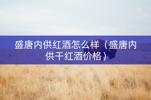 盛唐内供红酒怎么样（盛唐内供干红酒价格）