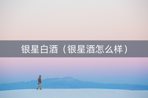 银星白酒（银星酒怎么样）
