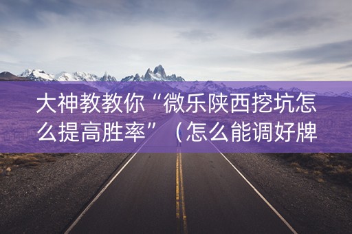 大神教教你“微乐陕西挖坑怎么提高胜率”（怎么能调好牌)