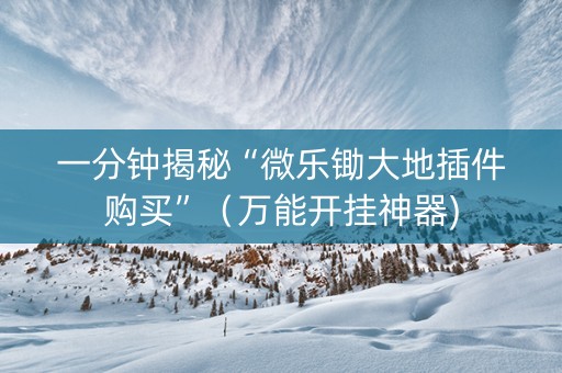 一分钟揭秘“微乐锄大地插件购买”（万能开挂神器)