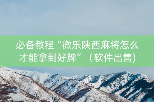 必备教程“微乐陕西麻将怎么才能拿到好牌”（软件出售)