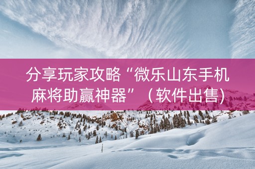 分享玩家攻略“微乐山东手机麻将助赢神器”（软件出售)