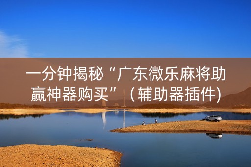 一分钟揭秘“广东微乐麻将助赢神器购买”（辅助器插件)