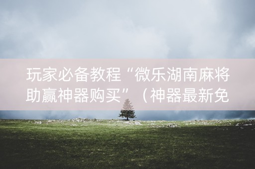 玩家必备教程“微乐湖南麻将助赢神器购买”（神器最新免费)