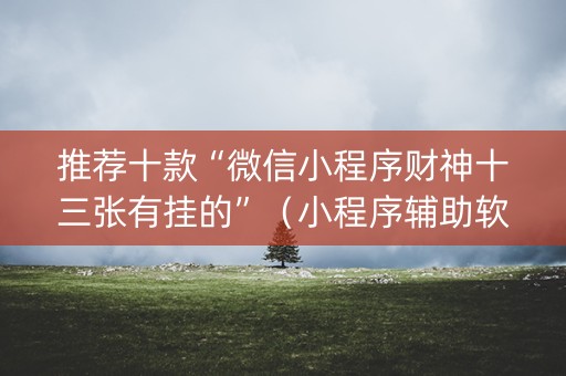 推荐十款“微信小程序财神十三张有挂的”（小程序辅助软件)