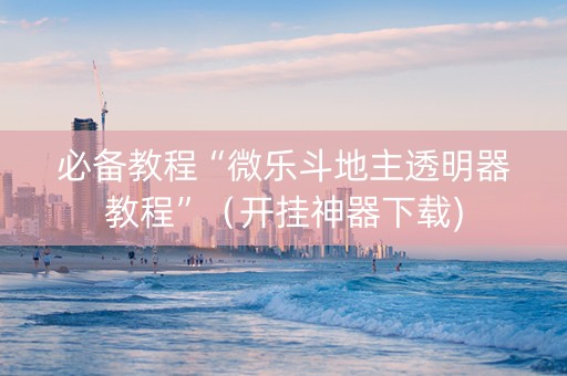 必备教程“微乐斗地主透明器教程”（开挂神器下载)