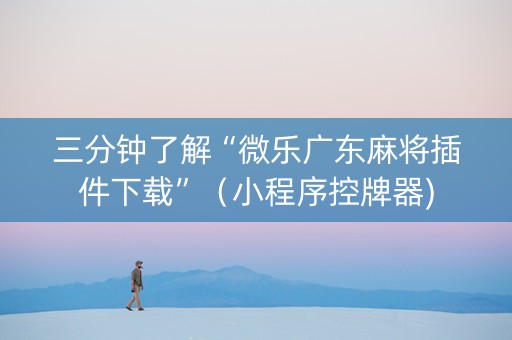 三分钟了解“微乐广东麻将插件下载”（小程序控牌器)
