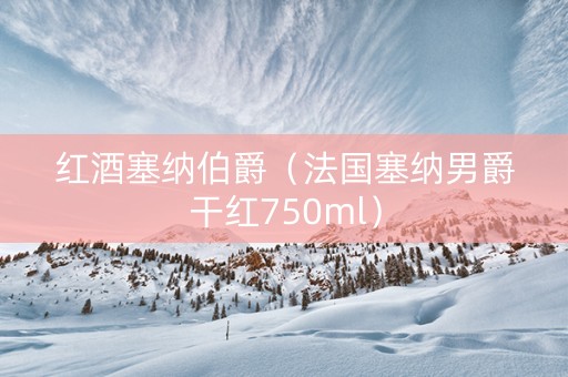 红酒塞纳伯爵（法国塞纳男爵干红750ml）