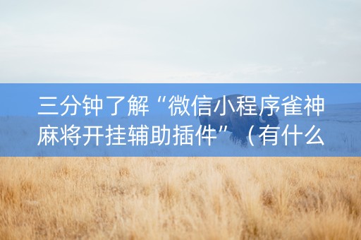 三分钟了解“微信小程序雀神麻将开挂辅助插件”（有什么规律)