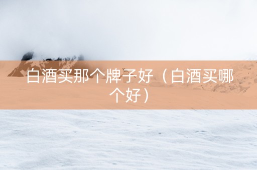 白酒买那个牌子好（白酒买哪个好）
