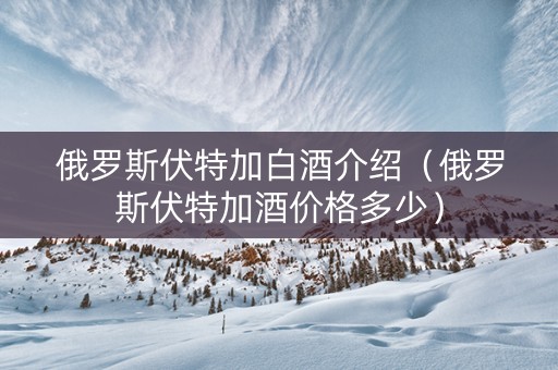 俄罗斯伏特加白酒介绍（俄罗斯伏特加酒价格多少）