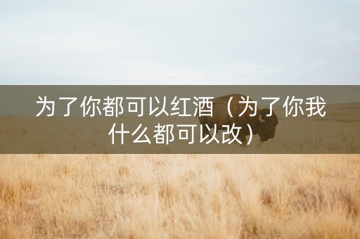 为了你都可以红酒（为了你我什么都可以改）
